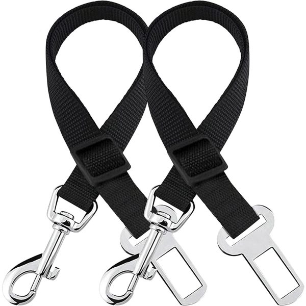 nylon dog leash