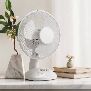9 Inch Desk Fan